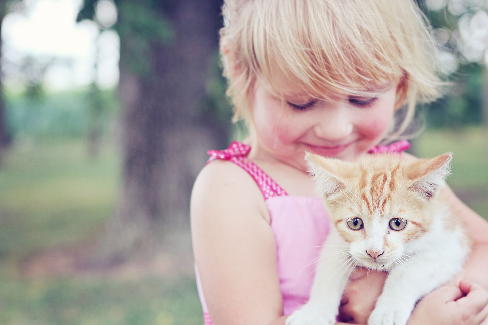 Comment réussir l’adoption d’un chaton avec un nouveau-né ?